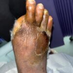 1369499 - Photo 1 - 20240313